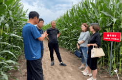 赤峰到通遼拼車電話