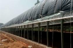 赤峰養(yǎng)雞大棚廠商電話(huà)號(hào)碼查詢(xún)