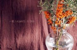 赤峰花店文竹店電話多少號