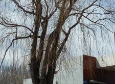 赤峰紅旗商場(chǎng)二樓電話號(hào)碼