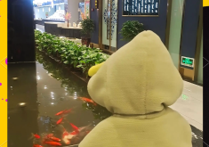 赤峰市蒙古菜館地址電話號(hào)碼