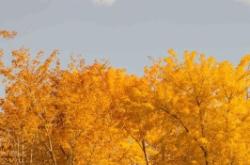 赤峰心情驛站電話號碼查詢地址