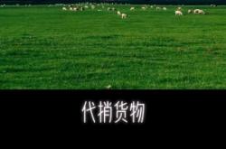 赤峰網(wǎng)約車司機(jī)電話號碼