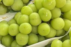 赤峰同城賣葡萄電話多少號(hào)