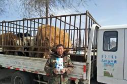 赤峰牛羊養(yǎng)殖廠家電話號碼