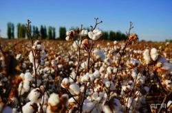 赤峰市王永軍簡歷