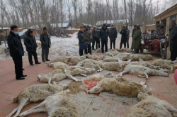 赤峰橋頭檢測站電話多少號