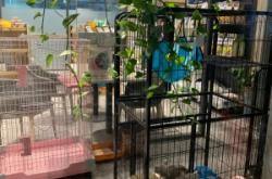 赤峰新城巴迪寵物診所電話號(hào)碼