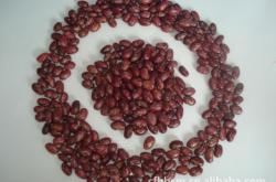 赤峰輔料配送公司電話號碼查詢