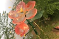 赤峰市賣簪子電話地址在哪