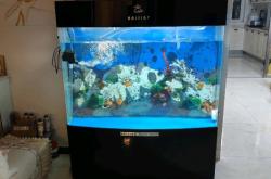 赤峰免費(fèi)送魚(yú)缸電話(huà)是多少號(hào)