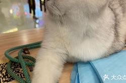 赤峰可達鴨寵物店電話號碼