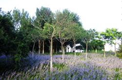 赤峰新城區(qū)興安社區(qū)電話(huà)號(hào)碼