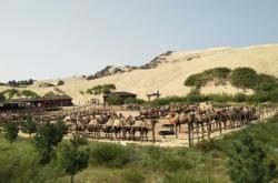 赤峰烏丹飯店預(yù)訂電話號(hào)碼