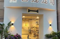 赤峰個人寵物貓出售電話號碼