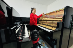 赤峰鋼琴調(diào)琴師招聘電話號碼