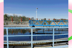 赤峰除磷劑公司電話地址查詢