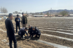 赤峰收糧食電話是多少啊