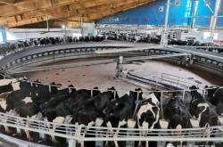 赤峰紅山萬達牧場電話號碼