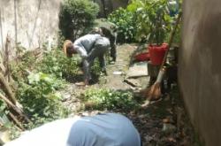 赤峰流浪貓收購電話號碼查詢