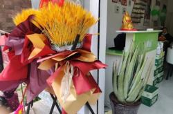 赤峰蘆薈加盟電話多少啊