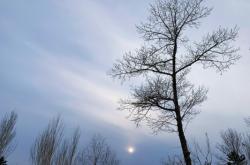 赤峰印興印刷廠電話號(hào)碼