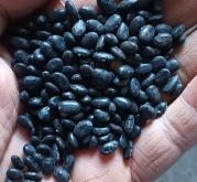 赤峰麻絲批發(fā)電話地址查詢