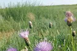 赤峰市遠(yuǎn)征物流老總電話號碼