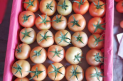 赤峰市喀喇沁旗河濱社區(qū)電話號碼