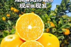 赤峰水果賣貨平臺電話地址查詢