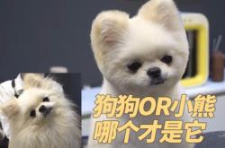 赤峰博美美容造型招聘電話號(hào)碼