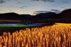 赤峰電音部落工作室電話號(hào)碼