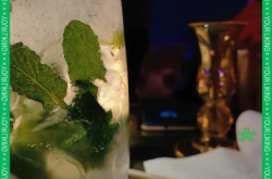 赤峰雞尾酒團(tuán)購電話地址查詢