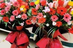 赤峰平莊鮮花壁紙廠電話號(hào)碼