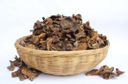 赤峰周邊揀蘑菇廠家電話號(hào)碼