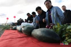 赤峰收購稻谷的電話號碼是多少