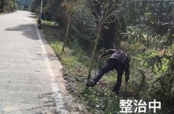 大禾珠寶赤峰店電話多少號