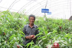 赤峰蔬菜大棚安裝電話多少號