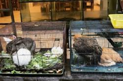 赤峰張記瓜子店地址電話號碼