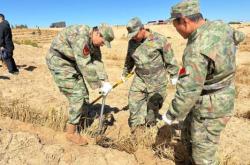 赤峰銳能礦業(yè)招聘信息電話號碼