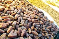 赤峰水母批發(fā)市場電話號碼