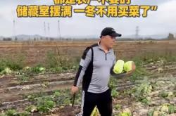 赤峰大白菜售賣店電話號碼