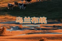 赤峰游牧羊團購地址電話號碼