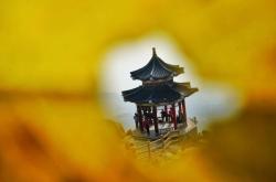 赤峰艷林婚禮城電話地址查詢