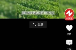 赤峰收白菜商販電話號碼查詢