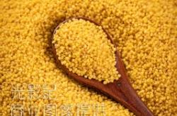 赤峰綠之坊小米售后電話號(hào)碼