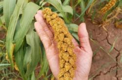 赤峰麥子工作室地址電話號(hào)碼