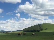 赤峰市高速服務(wù)直播電話號碼