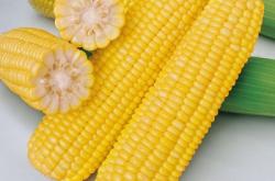 赤峰趙燕水果批發(fā)電話號(hào)碼