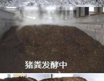 赤峰豬場(chǎng)清理死豬的電話是多少